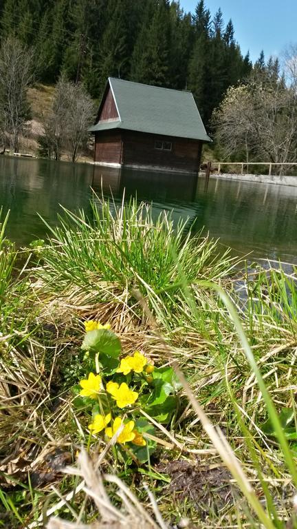 Chata Pod Certovicou Vyšná Boca Exterior foto
